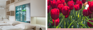 Jarní Flora Olomouc (Smarthotel Nezvalova Archa)  